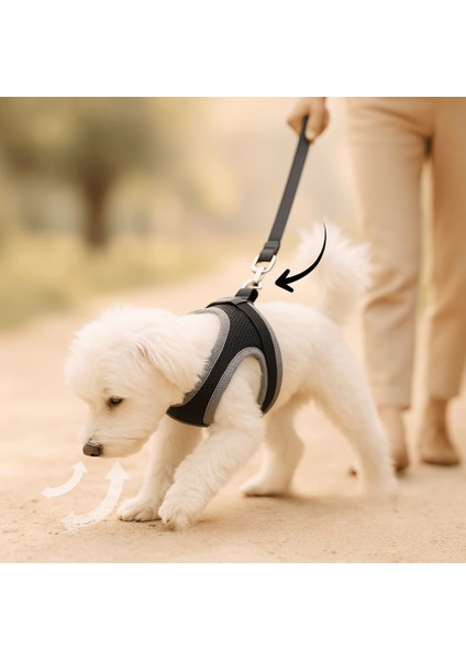 Köpek Göğüs Tasma Sevk Kayış Seti Sevk Kayışı Köpek Tasması Bundle Rahat Dayanıklı Nefes Alır File