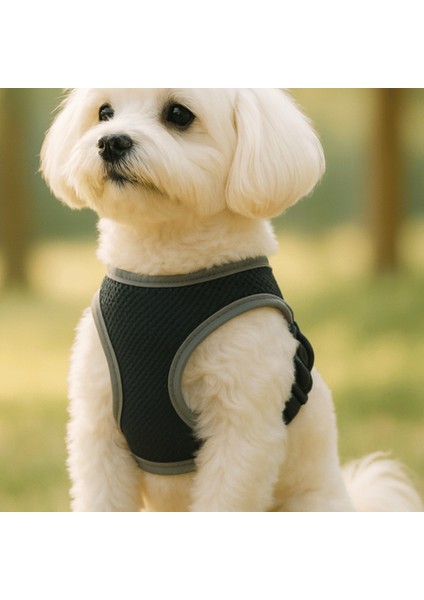 Köpek Göğüs Tasma Sevk Kayış Seti Sevk Kayışı Köpek Tasması Bundle Rahat Dayanıklı Nefes Alır File fiyatları