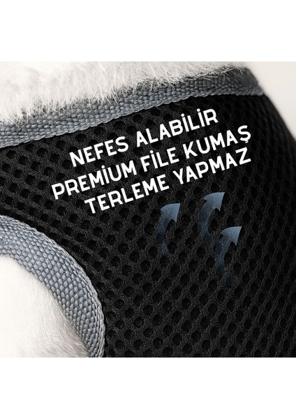 Köpek Göğüs Tasma Sevk Kayış Seti Sevk Kayışı Köpek Tasması Bundle Rahat Dayanıklı Nefes Alır File fırsatları