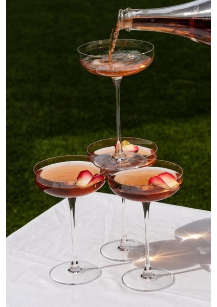 Nude Kristal Savage Kokteyl Bardağı 2 Li 220 cc 67296 fiyatları