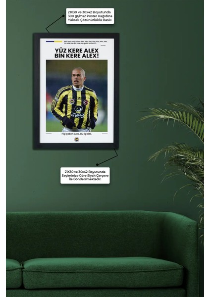 Alex Özel Koleksiyon Siyah Çerçeveli Tablo Poster fiyatları