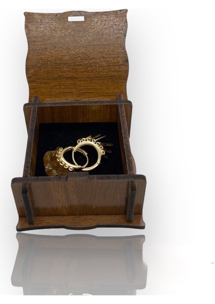 Pullu Kalemli Damla Shakira Altın Küpe modelleri