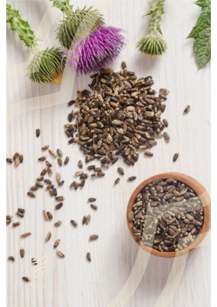 Deve Dikeni Tohumu 100 G – Doğal Katkısız Bitkisel Destek fiyatları