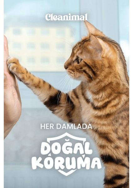 Kedi Parazit Ense Deri Damlası | Bit, Pire ve Kene Karşıtı Doğal Koruma Damlası 5x1 ml fırsatları
