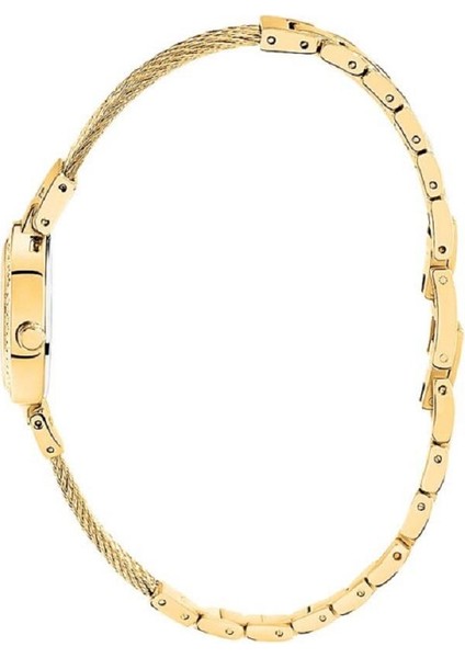 CLA800DDD Kadın Kol Saati fiyatları