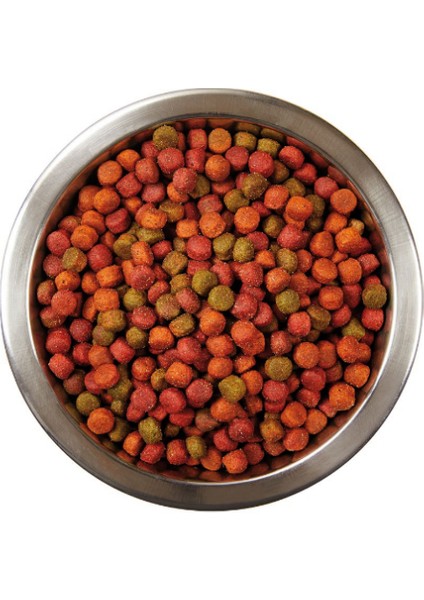 Yetişkin Kedi Kuru Mama 1,5 Kg | Tavuklu Gurme fırsatları