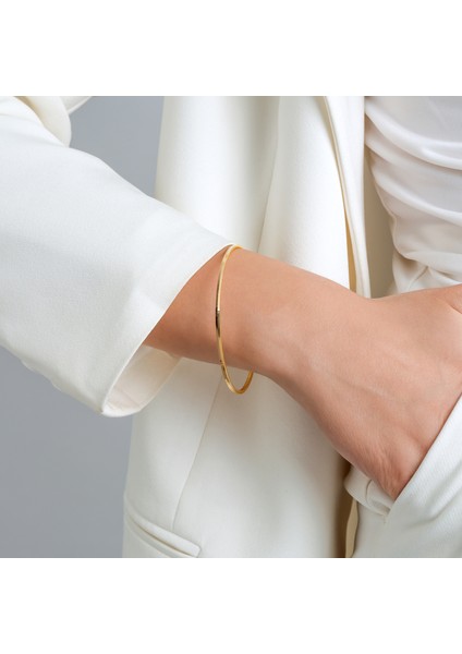 10 Gram Oluklu Ajda 22 Ayar Altın Bilezik fiyatları