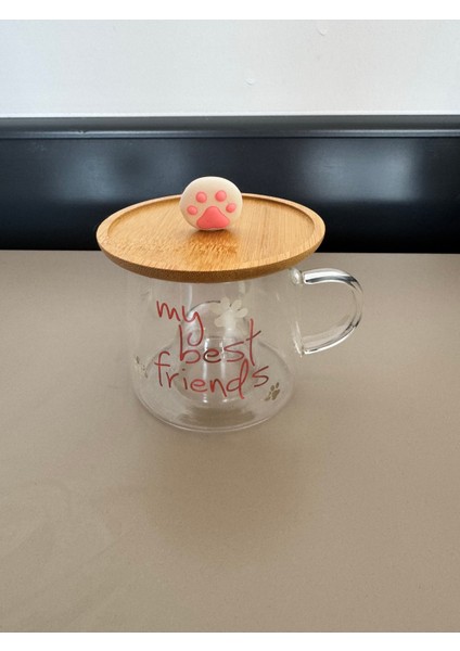 Yazı Baskılı Cam Bardak-my best friends-Ahşap Patili kapak fırsatları