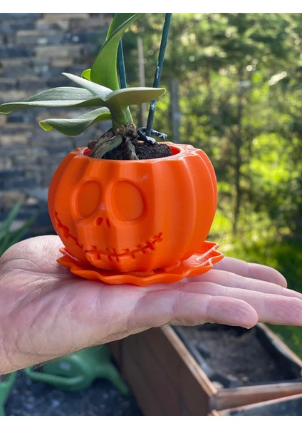 Halloween, Cadılar Bayramı, Temalı Mini Sukulent Saksı 2 Li fırsatları