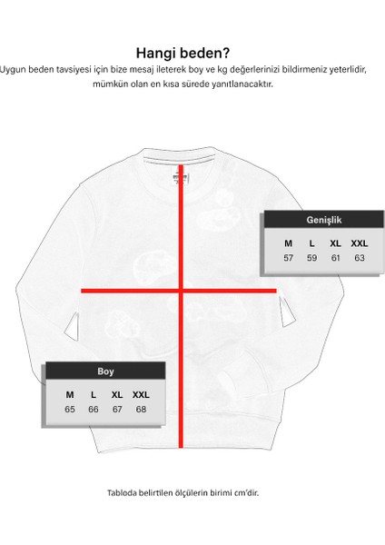Unisex Nolimits Üç Iplik Rahat Kesim O Yaka Baskılı Pamuk Sweatshirt Ekru modelleri