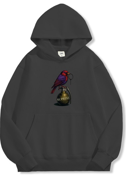 Unisex Sweatshirt Oversize Hoodie Surprise Bird