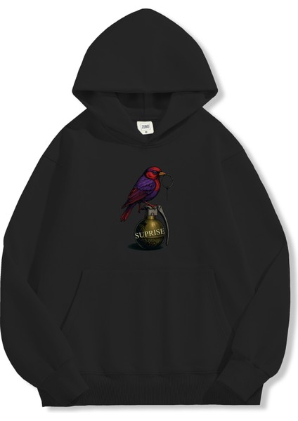 Unisex Sweatshirt Oversize Hoodie Surprise Bird modelleri