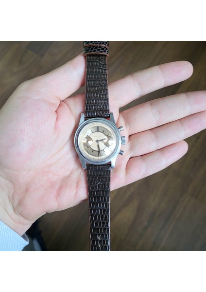 19 mm Gerçek Iguana Derisi Saat Kordonu 19 mm Saat Kordonu 19 mm Deri Kordon 19 mm Deri Saat Kayışı 19 mm Kordon