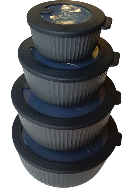 Sızdırmaz Kapaklı 4'lü Lüks Saklama Kabı Seti (Elegance Serisi) - 8.6 L