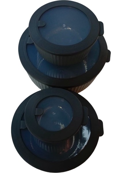 Sızdırmaz Kapaklı 4'lü Lüks Saklama Kabı Seti (Elegance Serisi) - 8.6 L fiyatları