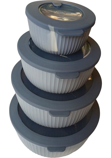 Sızdırmaz Kapaklı 4'lü Lüks Saklama Kabı Seti (Elegance Serisi) - 8.6 L