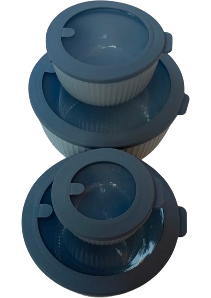 Sızdırmaz Kapaklı 4'lü Lüks Saklama Kabı Seti (Elegance Serisi) - 8.6 L fiyatları