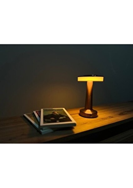 Oslo Şarjlı Dim Edilebilir Dekoratif Masa Lambası Bakır Renk CT-8435 fiyatları