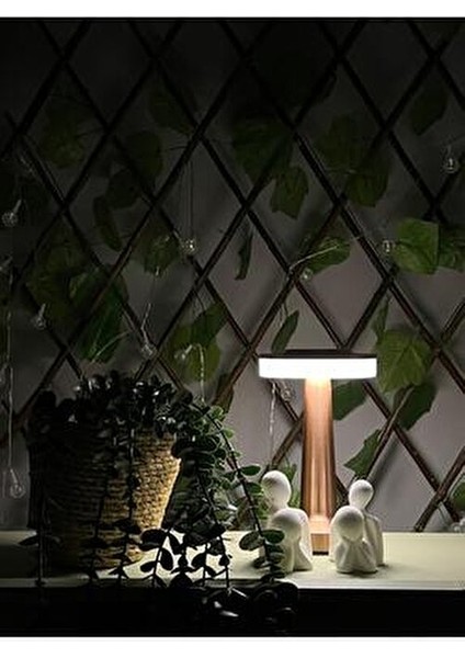 Oslo Şarjlı Dim Edilebilir Dekoratif Masa Lambası Bakır Renk CT-8435 indirimleri