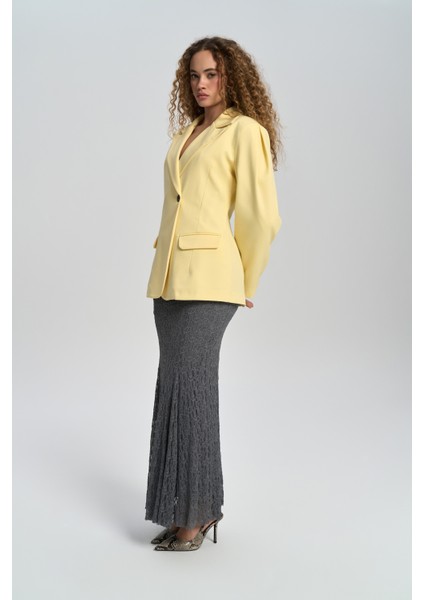 Briella Belden Oturtmalı Sarı Blazer modelleri