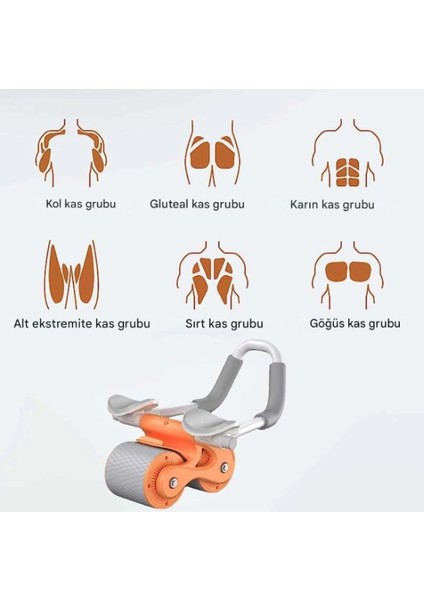 Mdb Ab Roller Karın Kası Egzersiz Tekerleği modelleri