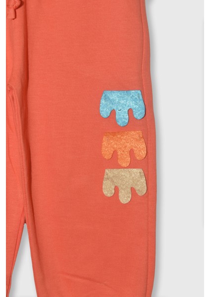 Erkek Çocuk %100 Pamuk Dinozor Nakışlı Paça Lastikli Cepli Trend Takım - 2145 modelleri