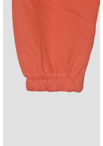 Erkek Çocuk %100 Pamuk Dinozor Nakışlı Paça Lastikli Cepli Trend Takım - 2145 fırsatları