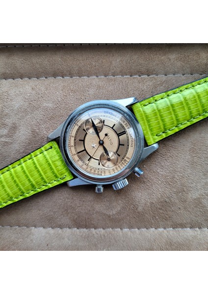 18 mm Gerçek Iguana Derisi Saat Kordonu 18 mm Saat Kordonu 18 mm Deri Kordon 18 mm Deri Saat Kayışı 18 mm Kordon