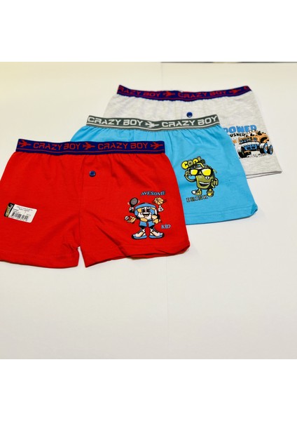 Erkek Çocuk Baskılı Boxer Renkli 3`lü
