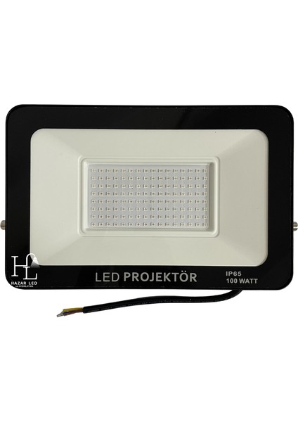 220 Volt 100 Watt Tablet Projektör Uv (Ultraviyole) Smd LED Projektör Black Light