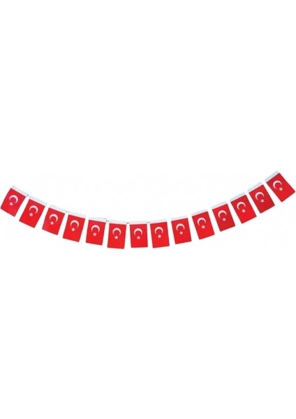 Ipli Büyük Bayrak 40' Lı (11*18 Cm)