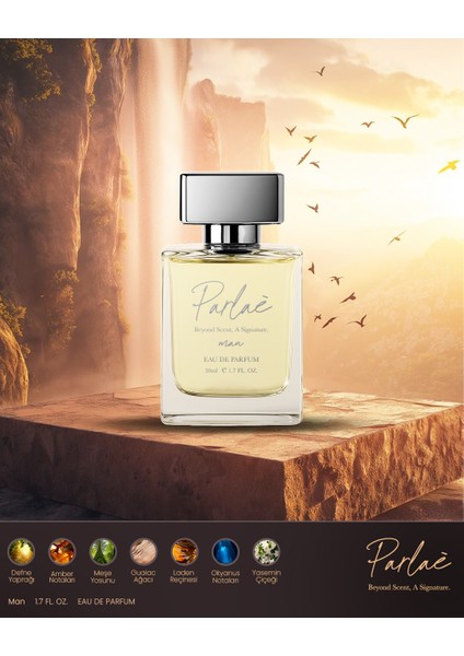 Erkek Parfüm - Favori ve Kalıcı Defne Yaprağı Okyanus Amber ve Meşe Notaları 50 ml Parfum fırsatları