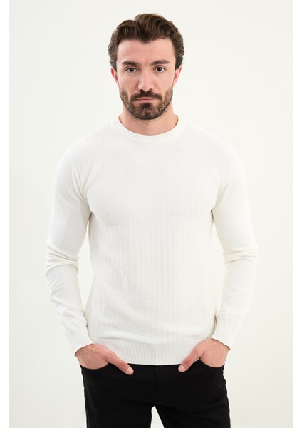 Desenli Slim Fit Bisiklet Yaka Erkek Triko Kazak