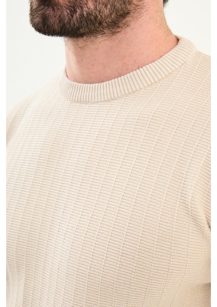 Desenli Slim Fit Bisiklet Yaka Erkek Triko Kazak fiyatları