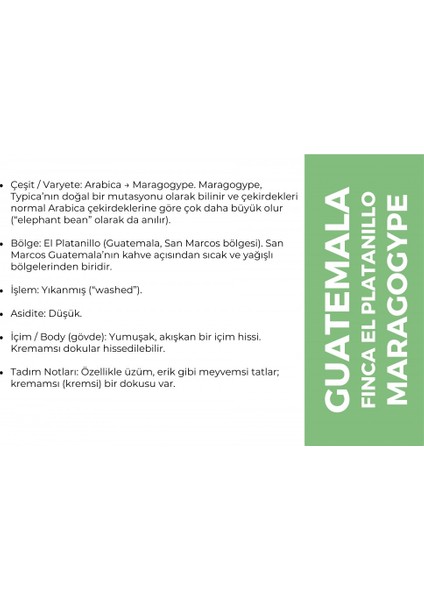 Guatemala Maragogype Kahve 1000 Gr. (4X250GR) fırsatları