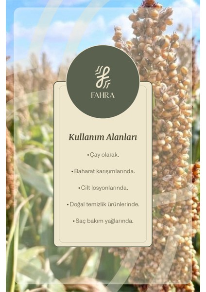 Süpürge Tohumu 100 G – Doğal ve Katkısız Şifalı Tohum fırsatları