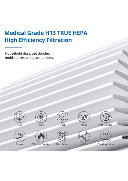 Doctor 3000 4'ü 1 Arada Ev Hava Temizleyici, H13 True Hepa ve Ekstra Karbon Ön Filtreleriyle Uyumlu 3000 Yedek Filtre (Yurt Dışından) fiyatları