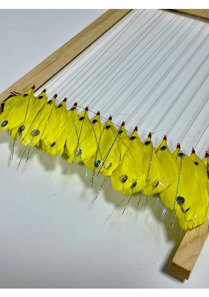 Palamut Çaparisi -Sarı Tüy