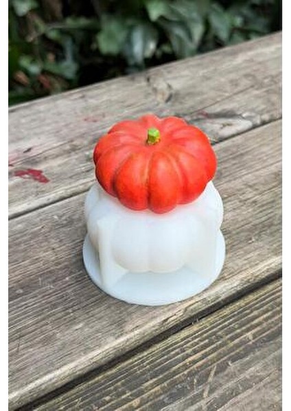 Munchkin Küçük Boy Silikon Mum Kalıbı Kokusuz 80 gr