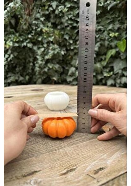 Munchkin Küçük Boy Silikon Mum Kalıbı Kokusuz 80 gr