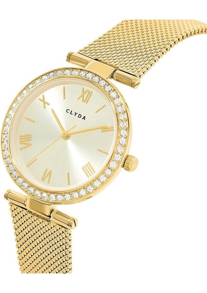 CLA805DDD Kadın Kol Saati fiyatları