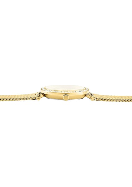 CLA805DDD Kadın Kol Saati modelleri