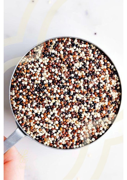 Üç Renk Kinoa 250G – Düşük Glisemik, Glutensiz ve Besleyici modelleri