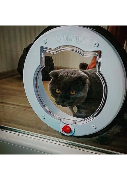 Pati Xxl (Beyaz) Kedi Kapısı