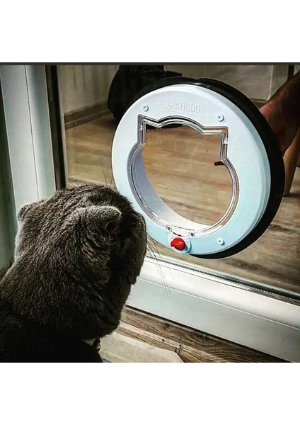 Pati Xxl (Beyaz) Kedi Kapısı