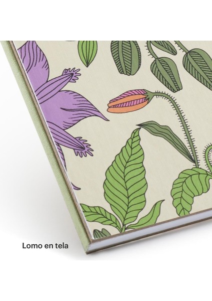 A5 Yumuşak Kapak Noktalı Vintage Lily Defter fiyatları