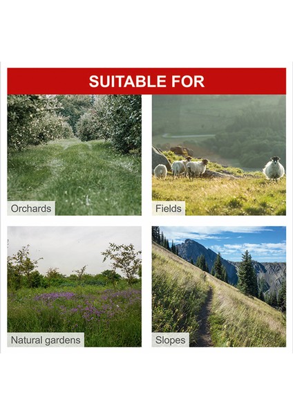 BMS196-88 Benzinli Çayır Biçme 88 cm 5.7 hp fiyatları