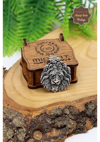 Aslan Yelesi Tasarım 925 Ayar Gümüş Erkek Kolye 201024602 fiyatları