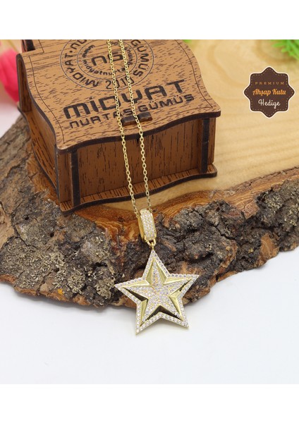 Zirkon Taşlı Yıldız Model Gold Kaplama 925 Ayar Gümüş Kadın Kolye 201024695 modelleri
