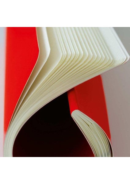 LEUCHTTURM1917 Jottbook A4 Çizgili Pembe Kapak 341495 fırsatları